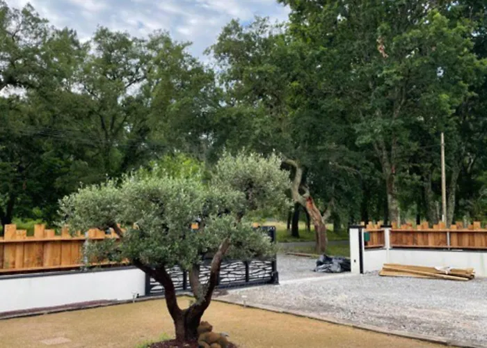 Petit Paradis סוסטון