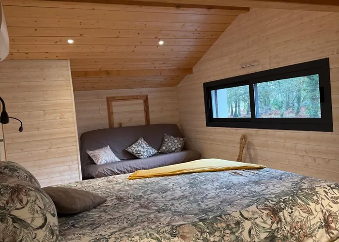 Petit Paradis סוסטון